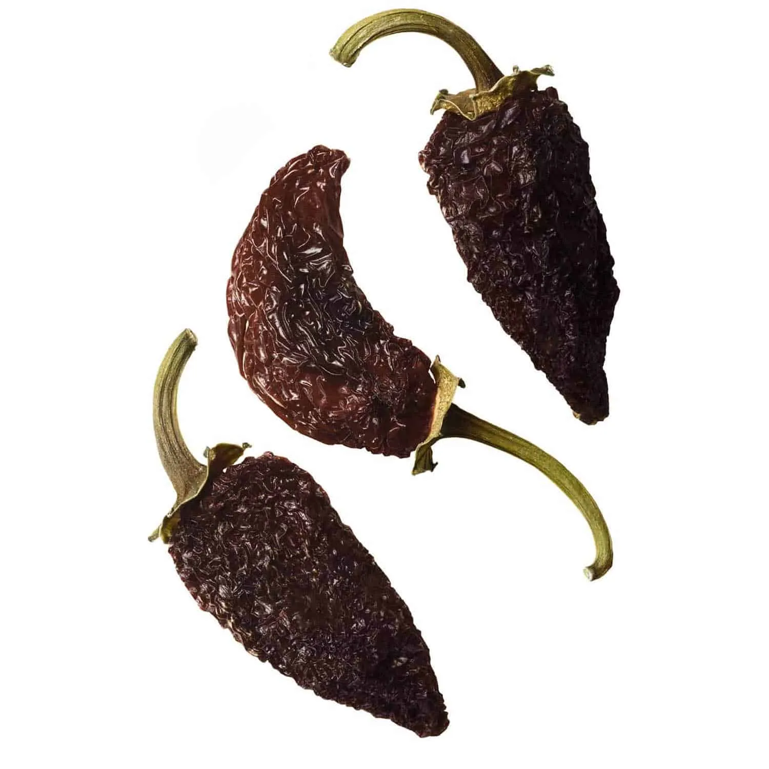 Chilli morita