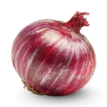 Purple onion